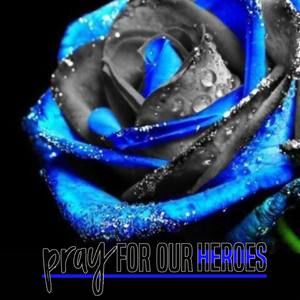 Meet your Posher, Katelyn